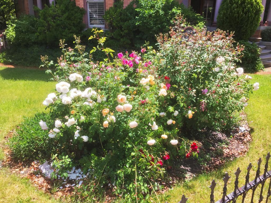 Historic Ellerbeck Mansion Bed & Breakfast Σολτ Λέικ Σίτι Εξωτερικό φωτογραφία